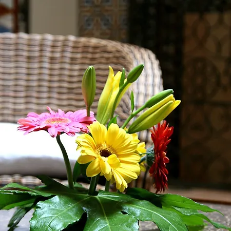 Hotel Boutique Casas De Santa Cruz